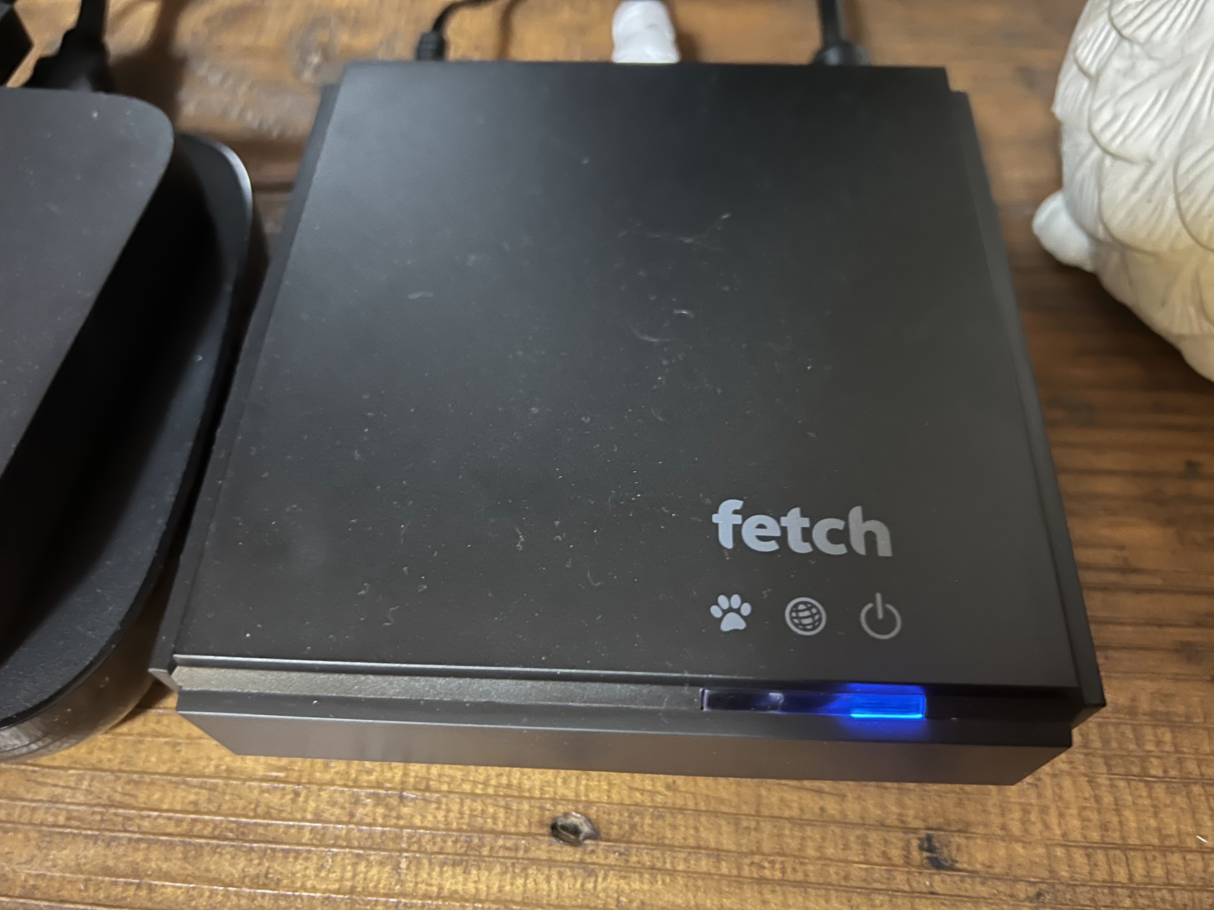 Fetch Device